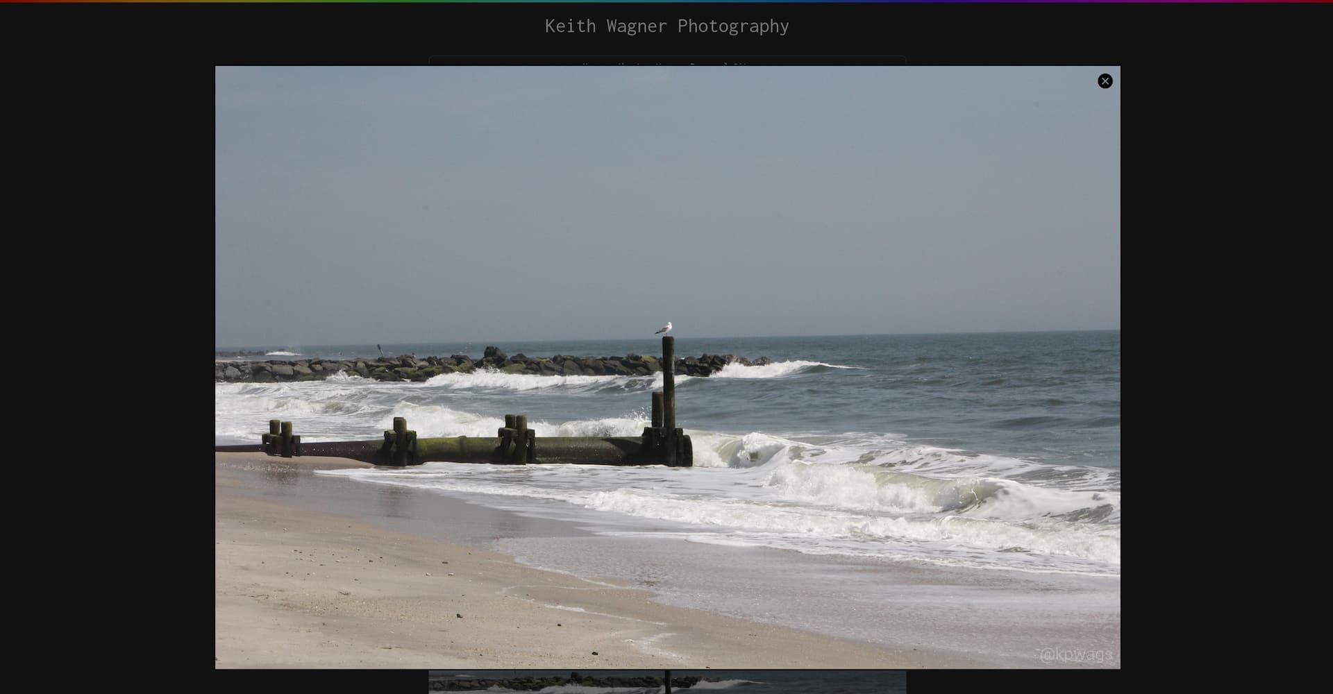 A picture of a seagul on a pole overlooking the ocean as a lightbox overlayed over a website